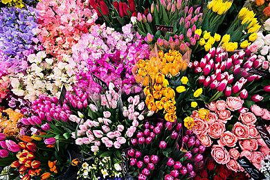 前暴雪总裁新作《破碎族裔》发布新宣传片 将于4月23日登陆全平台